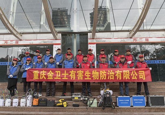 散白蟻侵害現(xiàn)代建筑，如何有效進(jìn)行白蟻防治處理