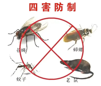 床墊易滋生吸血臭蟲，怎樣預防呢？